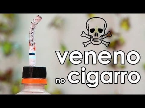 Conheça os venenos do cigarro (EXPERIMENTOS de biologia)